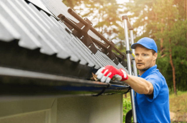 downers grove gutter service